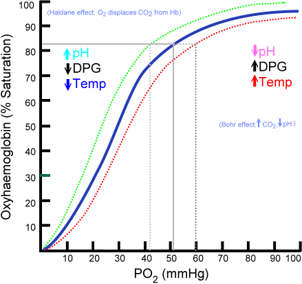 Saturation of hemoglobin is dependent on the partial pressure of oxygen in the arterial blood. The shape is non-linear due to properties of the hemoglobin molecule. Image taken from wikipedia.